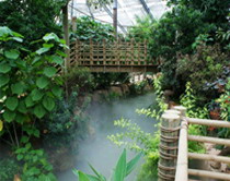 广州华南植物园温室群人造雾系统